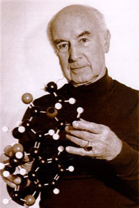 Hoffman Holding LSD Model